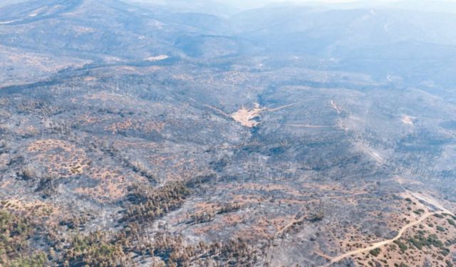 Bursa'da 10 bin futbol sahası büyüklüğünde orman kül oldu