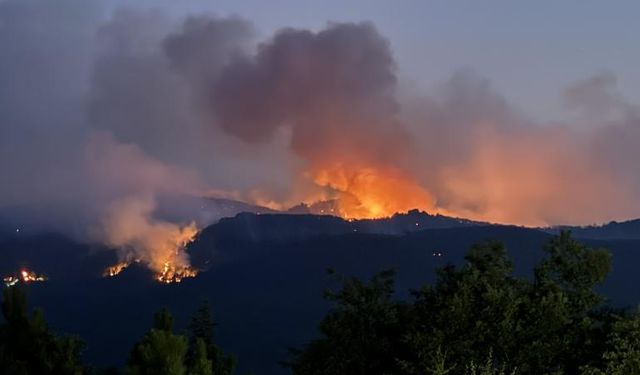 Edirne'de çıkan orman yangınına müdahale sürüyor