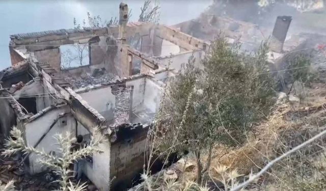 Tekirdağ'daki orman yangınına müdahale sürüyor