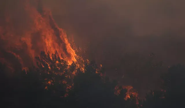 Sakarya'da çıkan orman yangınına ekiplerce müdahale ediliyor