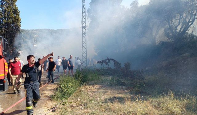 Kocaeli'de orman yangını
