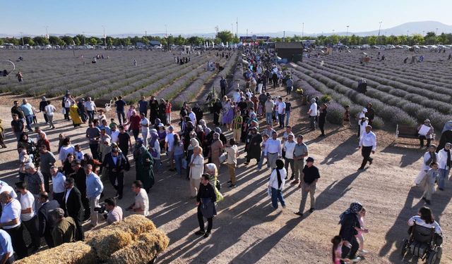Lavanta günleri rekor ziyaretçiyle devam ediyor