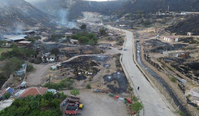 Çanakkale'de orman yangını