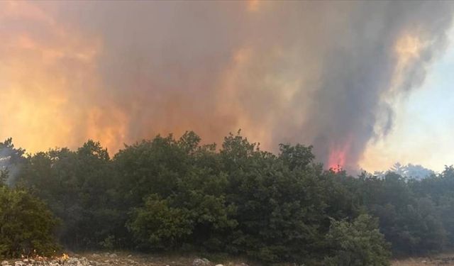 İtalya'nın Sicilya Adası'ndaki orman yangınları yerleşim yerlerini tehdit ediyor