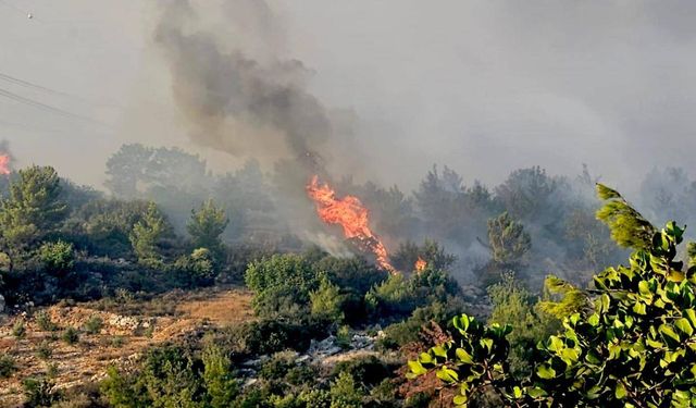 Artan orman yangınlarının çoğu insan kaynaklı