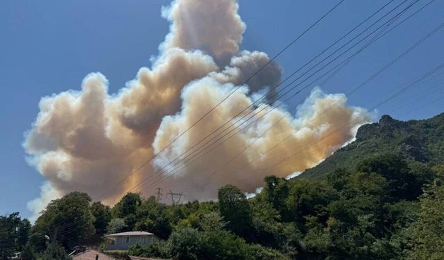 Sakarya'da yeni orman yangını başladı: Dumanlar gökyüzünü sardı