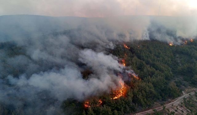 Tekirdağ'daki orman yangınına müdahele sürüyor