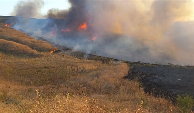 Antalya'daki yangın kontrol altına alındı