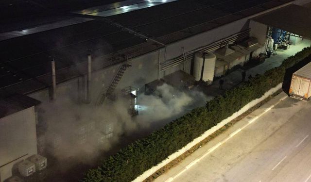 Bursa'da fabrika yangını