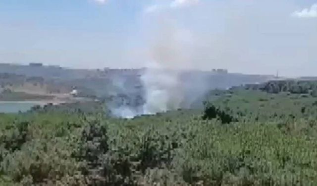 Çorum'da ormanlık alanda çıkan yangın büyümeden söndürüldü