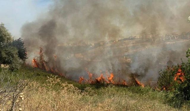 Düzce'de çıkan yangın kontrol altına alındı