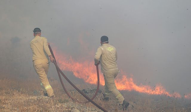 Kırklareli'nde orman yangını!