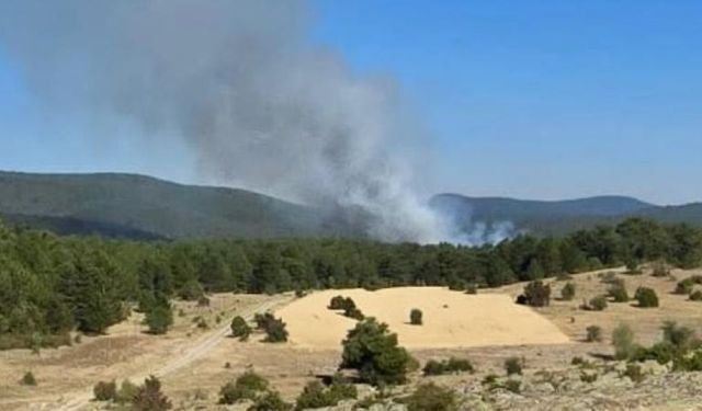 Bursa'da makilik alanda çıkan yangın ekiplerce söndürüldü