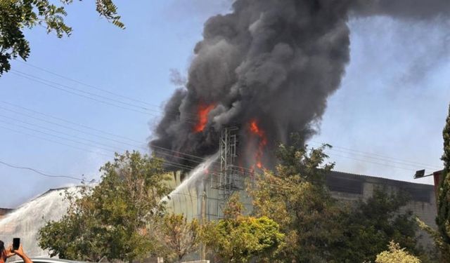 Çanakkale'de arazide çıkan yangın kontrol altına alındı