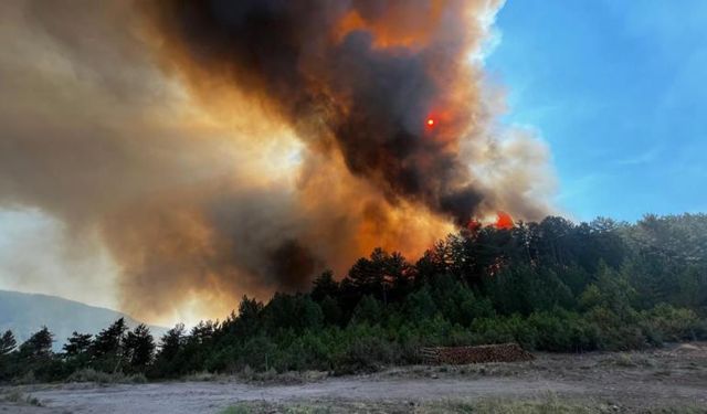 Uşak ile Manisa'daki yangınlara karadan müdahale ediliyor