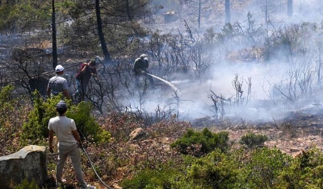 Havai fişek kaynaklı yangında 4 şüpheli tutuklandı