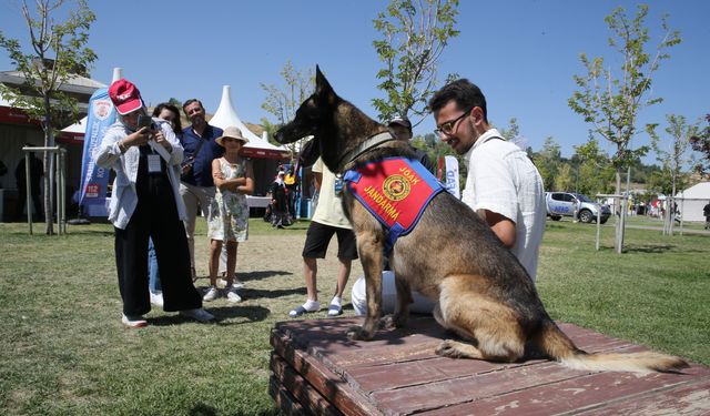 Ahlat'ta Malazgirt Zaferi'nin 954. yıl dönümü etkinlikleri devam ediyor