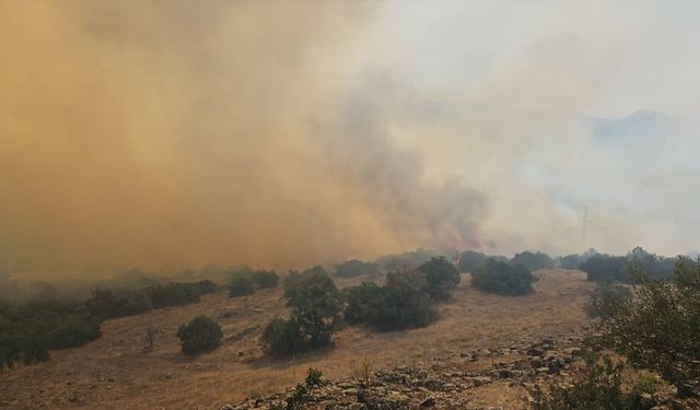 Balıkesir'de orman yangını