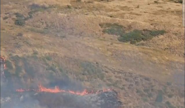 Balıkesir'deki Paşalimanı Adası'nda çıkan arazi yangınına müdahale ediliyor