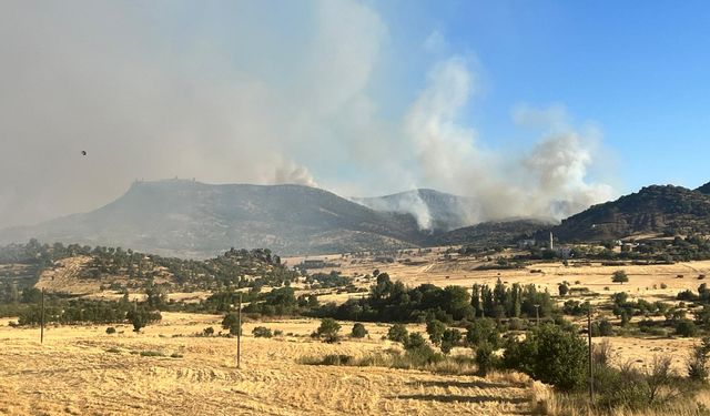 Diyarbakır'ın iki ilçesinde ormanlık alanda çıkan yangınlara ekiplerce müdahale ediliyor