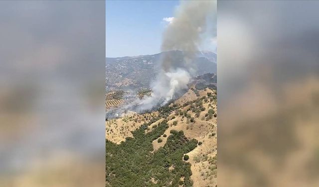 Aydın'da ziraat alanında yangın