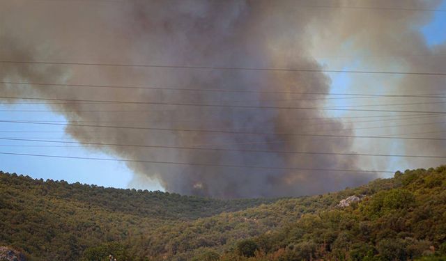 Bursa'da orman yangını: Havadan ve karadan müdahale sürüyor