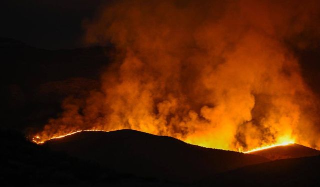 California'da 12 bin hektardan fazla alan yandı
