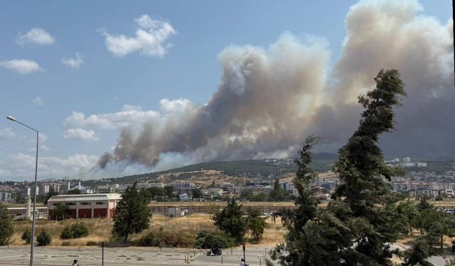 Çanakkale Gelibolu'da ormanlık alanda çıkan yangına müdahale sürüyor