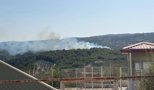 Hatay'da orman yangını çıktı