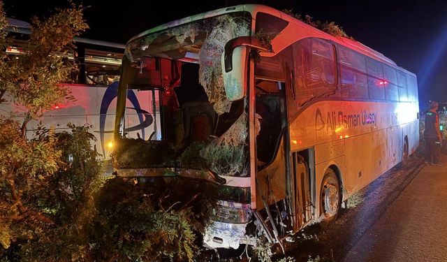 Kayseri'de yolcu otobüsü refüjdeki ağaçlara çarptı