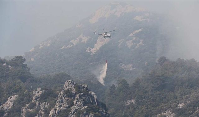 Çanakkale Gelibolu'da çıkan yangına ekiplerce müdahale ediliyor