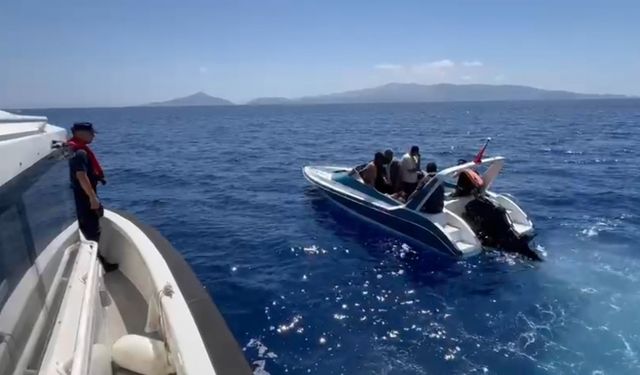 Edirne ve Kırklareli'nde 15 göçmen yakalandı