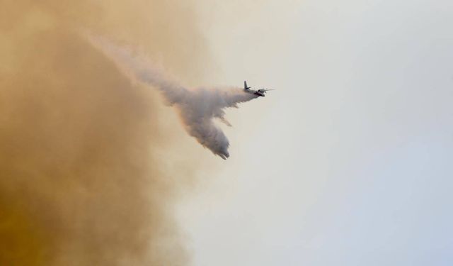 İklim değişikliği Türkiye ve Yunanistan'da orman yangınlarına yol açan hava koşullarını şiddetlendirdi