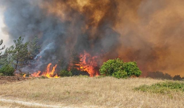 Hatay'da ormanlık alanda çıkan yangın ekiplerce söndürüldü