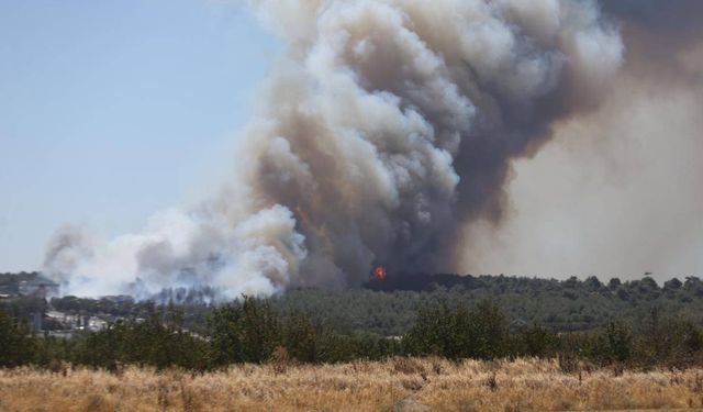 Hatay'da çıkan orman yangını ekiplerce kontrol altına alındı