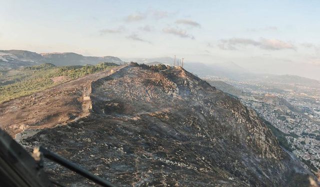 Hatay'da dün çıkan orman yangını kontrol altına alındı