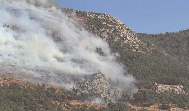 Antalya'da ormanlık alanda çıkan yangın söndürüldü