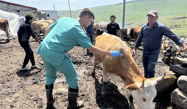 Hakkari'de şap hastalığına yönelik karantina tedbirleri kaldırıldı