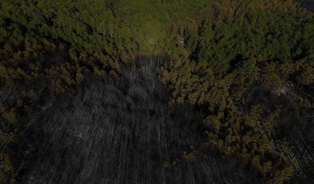 Adana Feke'de orman yangını ekiplerce çıktı