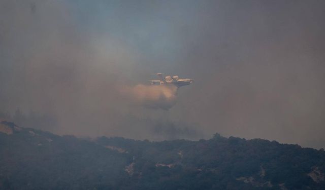 Çanakkale Gelibolu'daki yangın tamamen kontrol altında