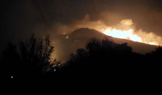 Denizli'deki orman yangını kontrolden çıktı