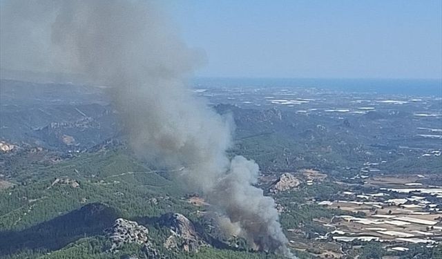 Antalya'da ormanlık alanda yangın çıktı