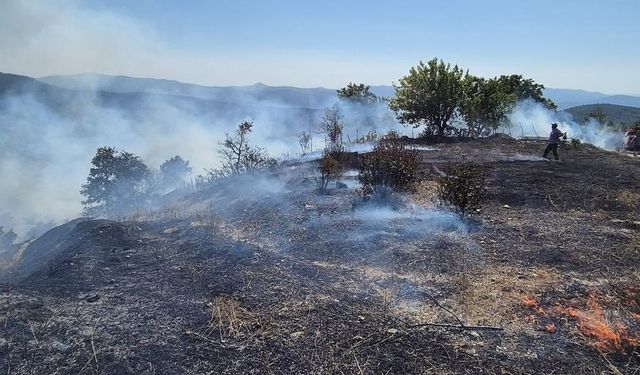 Bursa'da ormanlık alanda çıkan yangına müdahale ediliyor