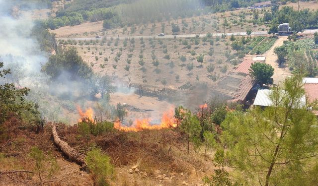 Balıkesir'de çıkan orman yangını kontrol altına alındı