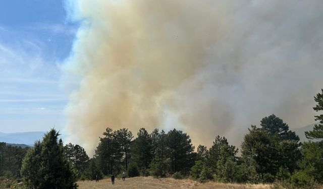 Bursa'da ormanlık alanda çıkan yangın ekiplerce kontrol altına alındı