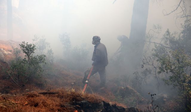 Köyceğiz'de çıkan orman yangınına müdahale sürüyor