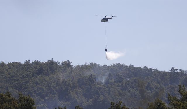 Milas'ta çıkan orman yangınına havadan ve karadan müdahale ediliyor