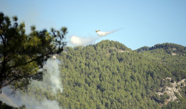 Köyceğiz'de çıkan orman yangınına müdahale sürüyor