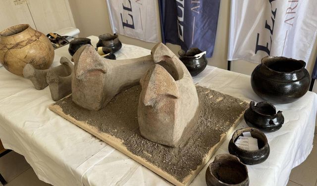 6 bin yıllık boğa başlı sunak bulundu