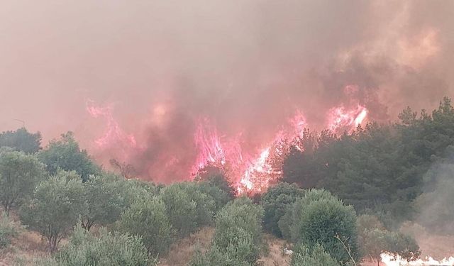 Denizli'deki yangına müdahale sürüyor